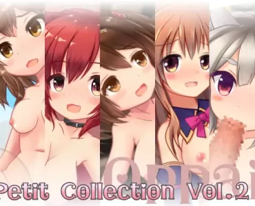 Petit Collection Vol.2