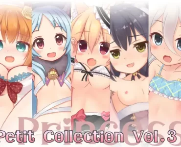 Petit Collection Vol.3