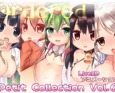 Petit Collection Vol.6