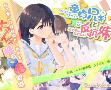 Gaman ga Dekinai Doutei Aniki to Sunao ni Narenai Hankou Imouto