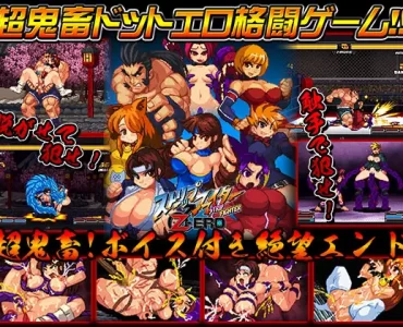 ストリップファイターZERO
