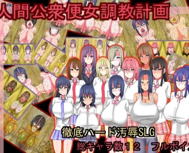 Public Lavatory Training Project (人間公衆便女調教計画)