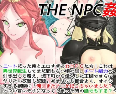 THE NPC姦 ～ニートだった俺と(以下略)～