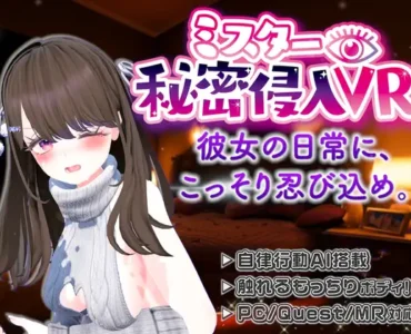 [RJ01266526] ミスター秘密侵入VR ―SNSの裏側、彼女の家に忍び込んだら、トイレもベッドも覗き見放題… (VR ONLY)