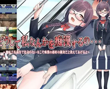 どうして私なんかを痴漢するの・・・～地味で真面目で色気のない女こそ痴漢の格好の餌食だと教えてあげるよ～