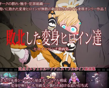 敗北した変身ヒロイン達 ～ヒロインピンチ動画集～