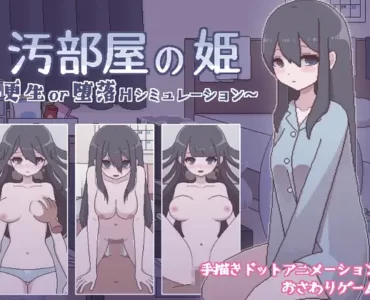 Dirty Room Princess Rehabilitation or Corruption H Simulation