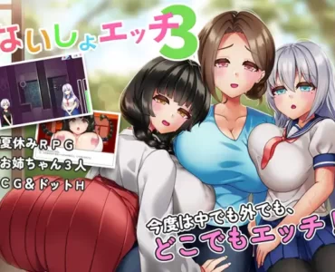ないしょエッチ3 ～お姉ちゃんたちと村中で隠れてエッチできちゃう夏休み～