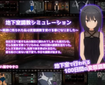 地下室調教シミュレーション
