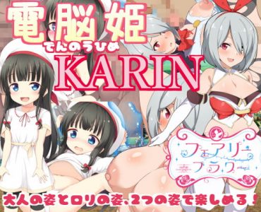 電脳姫KARIN