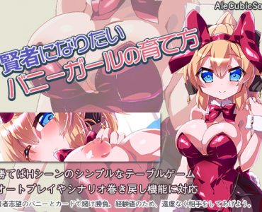 賢者になりたいバニーガールの育て方