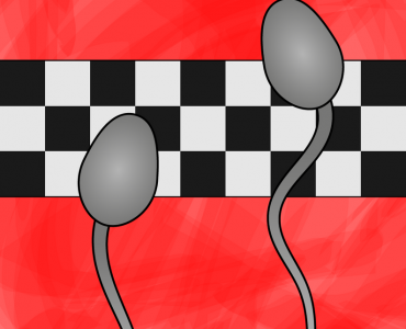Sperm Race