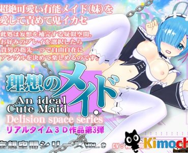 An Ideal Cute Maid