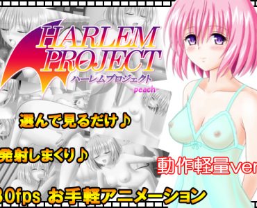 Harlem project