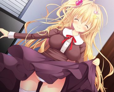Baka na imouto wo rikou ni suru no wa