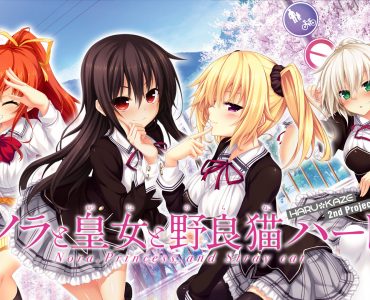 Nora to Oujo to Noraneko Heart