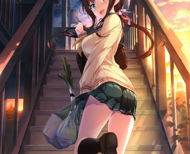 Aikagi アイカギ (ENGLISH UPDATE)