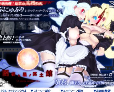 PunyuPuri XX - Yamiyo to Hoshi no Maidkan